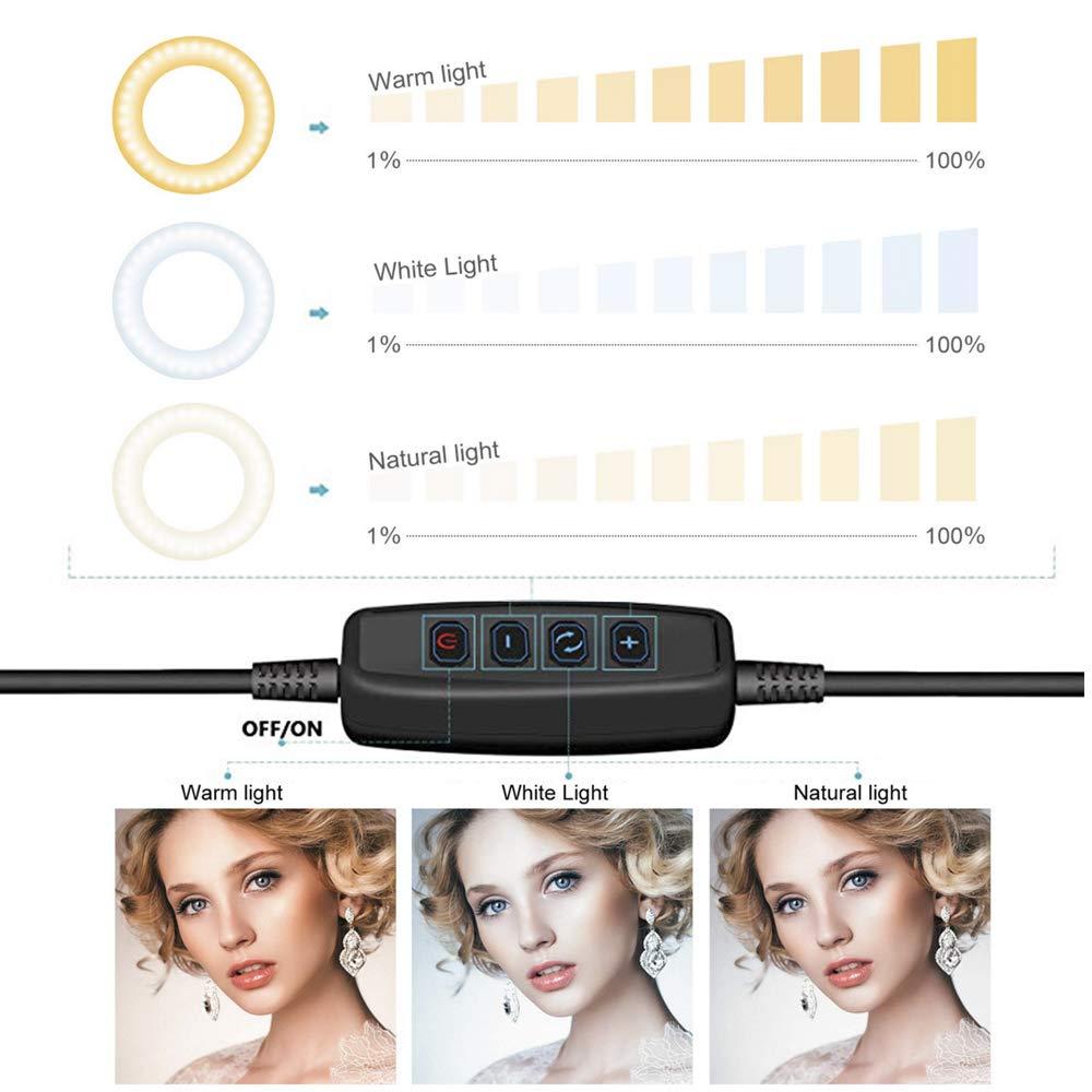 Ring Light OEBLD Dimmable with 3 Light Modes & 10 Brightness Level LED Ring Fill Lights for Phone Live Stream Makeup YouTube Shooting(B(only 10'' Ring Light))