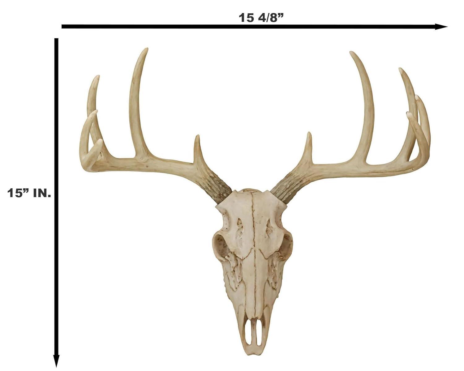 蝦夷鹿hunting trophy（deer skull） 蝦夷鹿hunting trophy（deer skull） Indigenous Art Carved