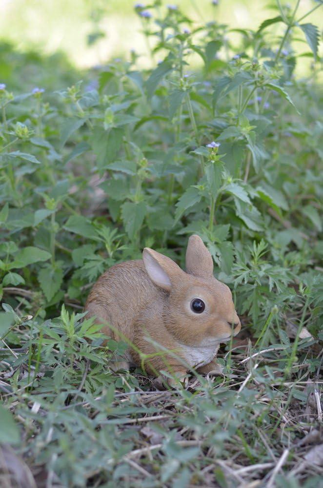 Hi-Line Gift Ltd. Sitting Rabbit Statue