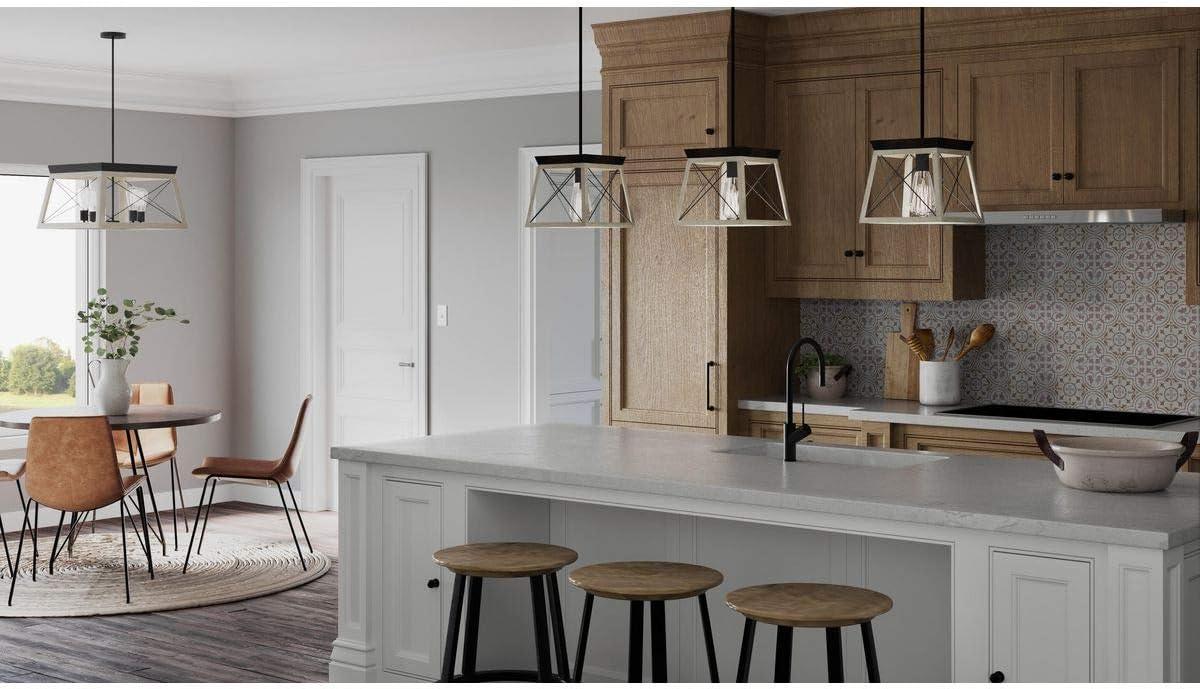 Progress Lighting Briarwood 1-Light Mini-Pendant, Steel, Graphite Finish, Faux-Painted Wood Enclosure