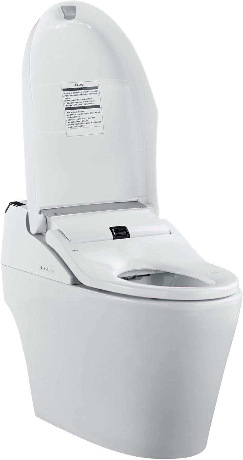 Dual-Flush Elongated Bidet Toilet (Seat Included)