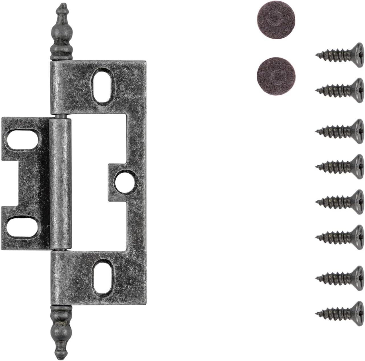 Silver Medallion Self Mortise Cabinet Hinges, 2-Pack