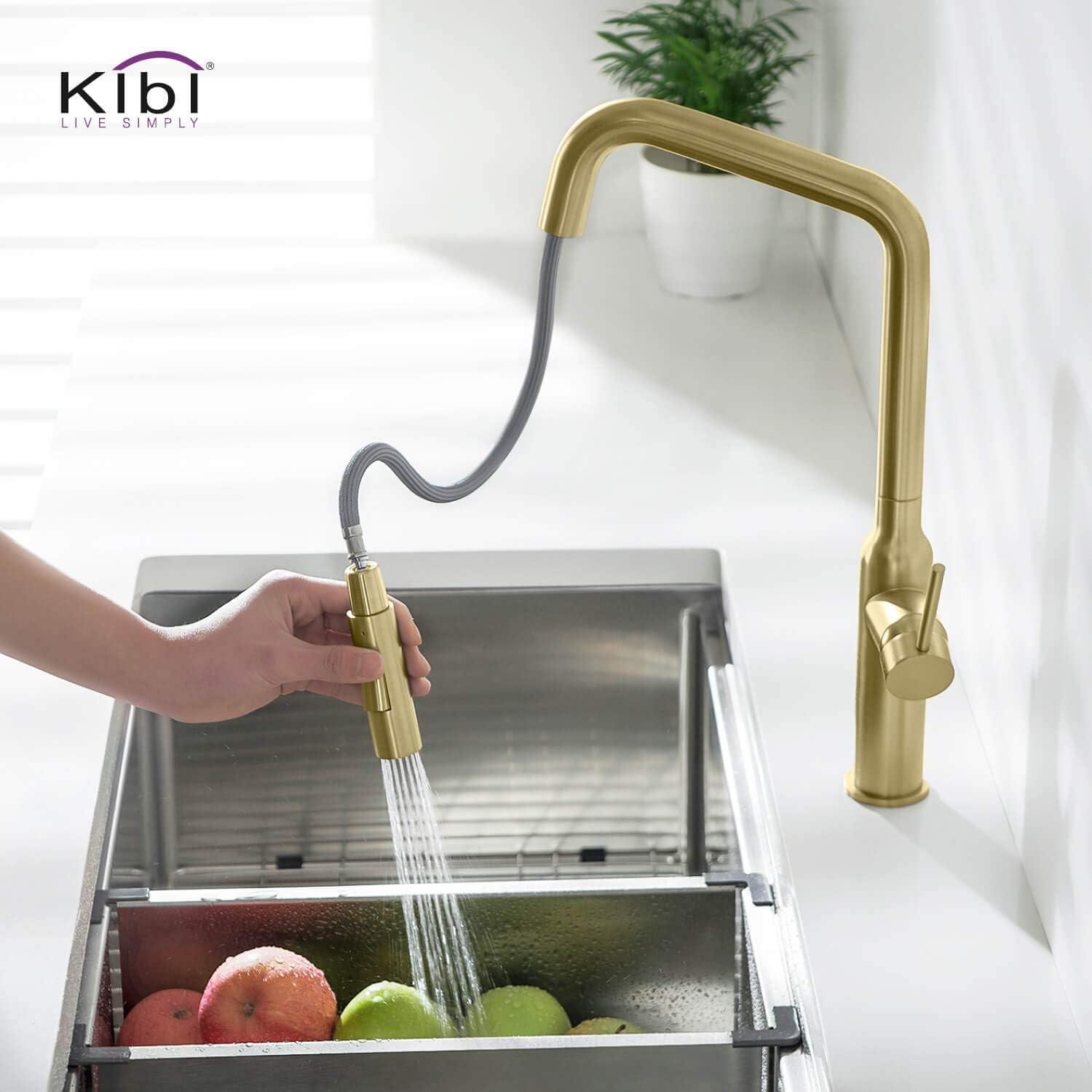Macon Pull Down Single Handle Kitchen Faucet with Accessories