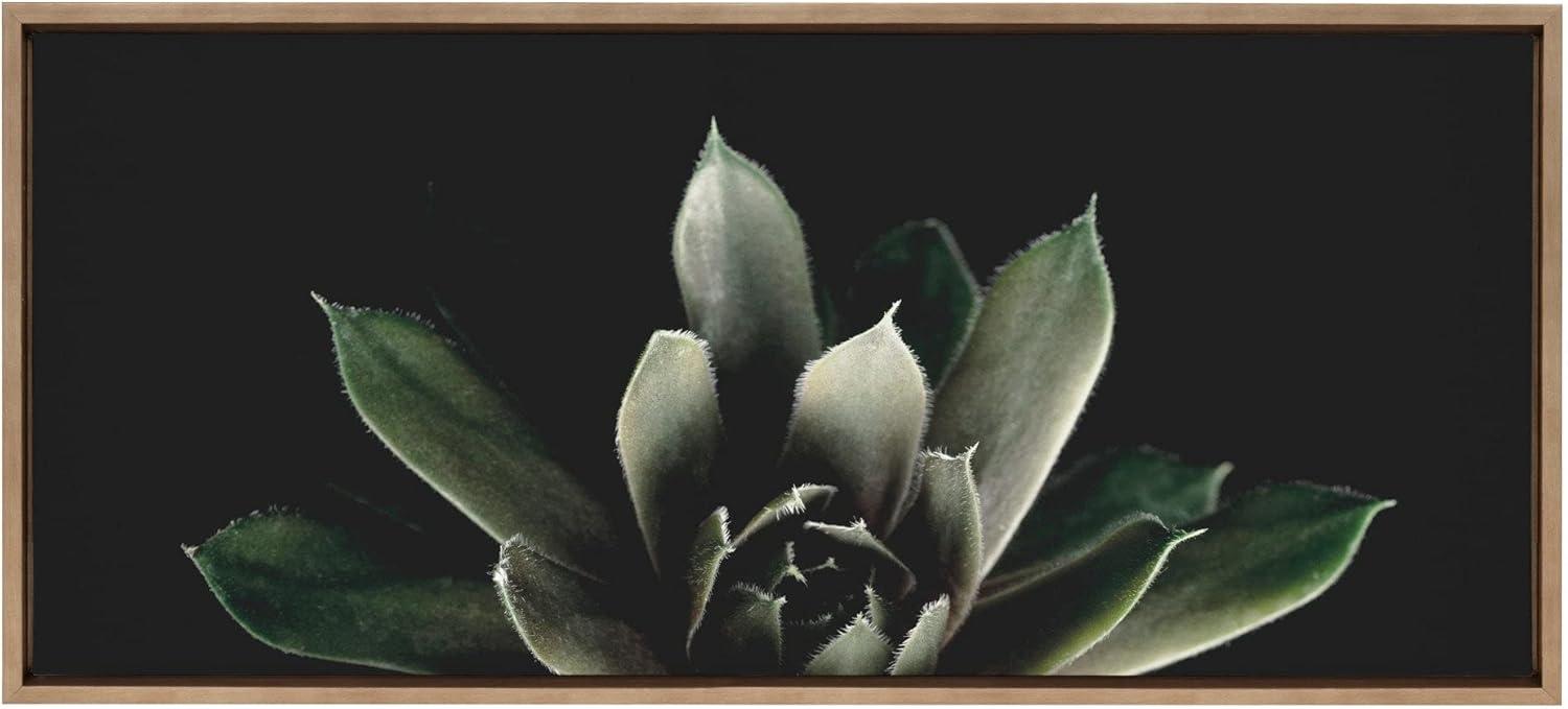 18" x 40" Sylvie Succulent 8 by Emiko and Mark Franzen of F2 Images Framed Wall Canvas Gold - Kate & Laurel All Things Decor