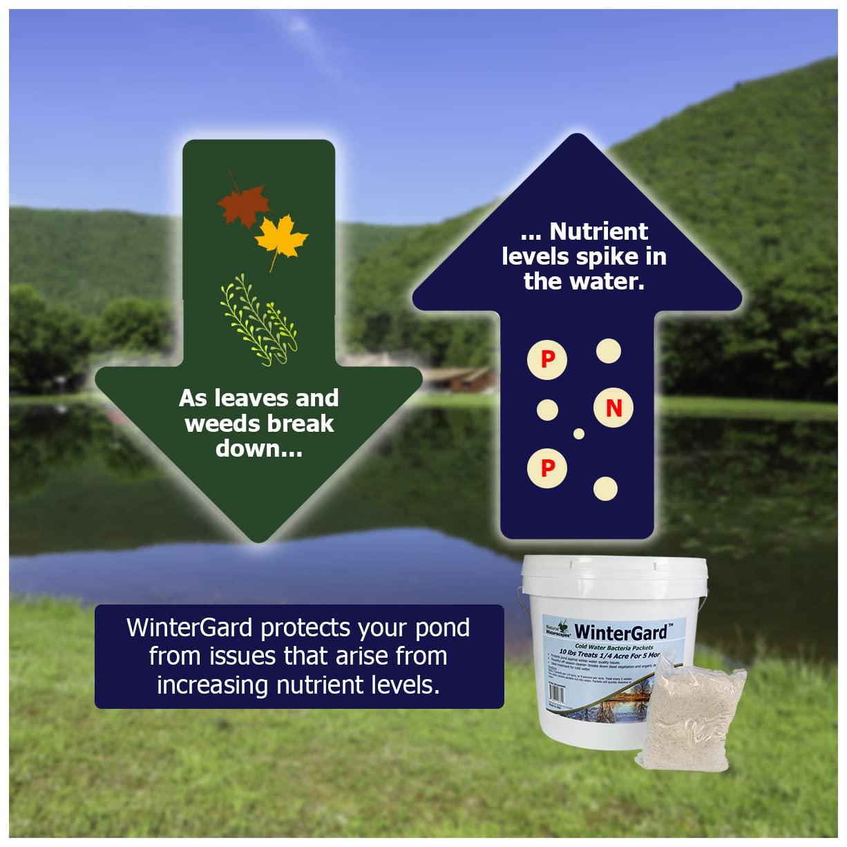 Natural Waterscapes WinterGard Cold Water Bacteria 10 lb Winter Pond Treatment