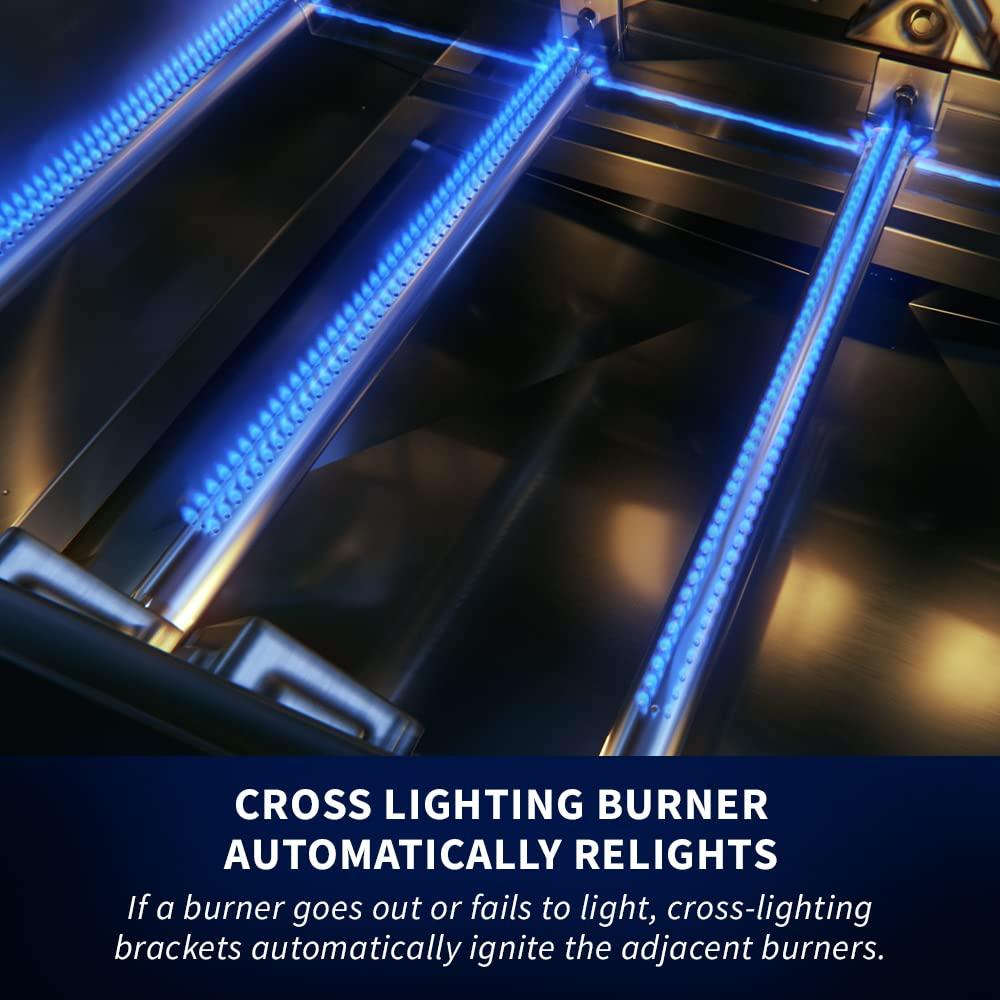 Napoleon Rogue SE Gas Grill with Infrared Rear and Side Burners, Stainless Steel