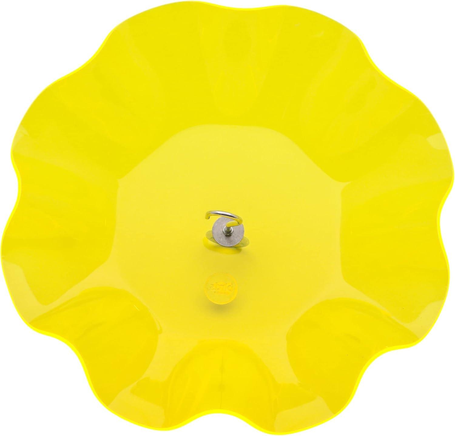 Birds Choice Birds Choice 13" Color Pop Collection Acrylic Bird Feeder Scalloped Weather guard