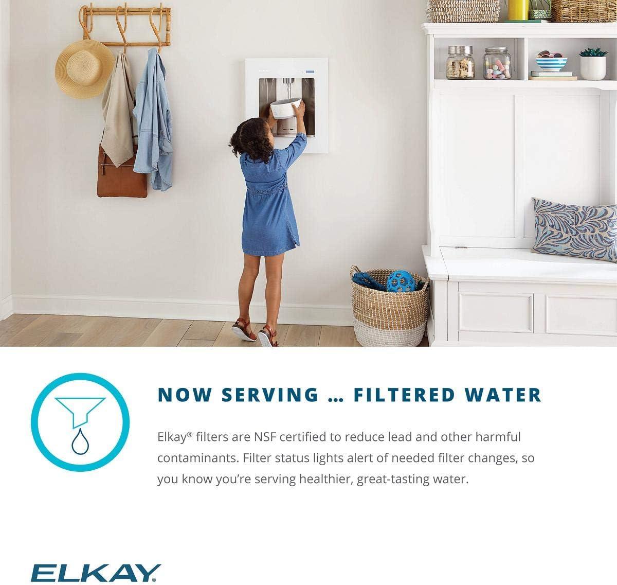 Elkay Elkay ezH2O Liv Built-in Filtered Refrigerated Water Dispenser Remote Chiller