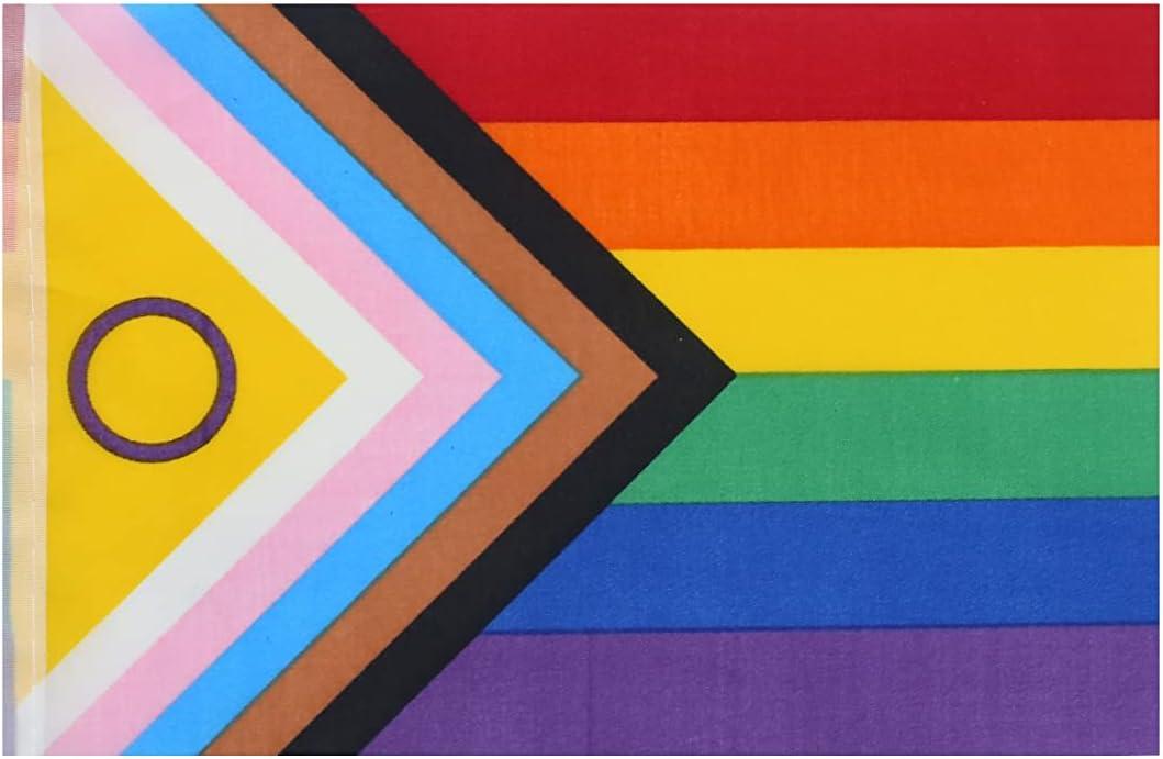 Rainbow Pride Flag,100Feet/76Pcs Rainbow Festival Decoration Pennant Flags Banner,Party Decorations Supplies for Decoration,Rainbow Holiday Decoration.