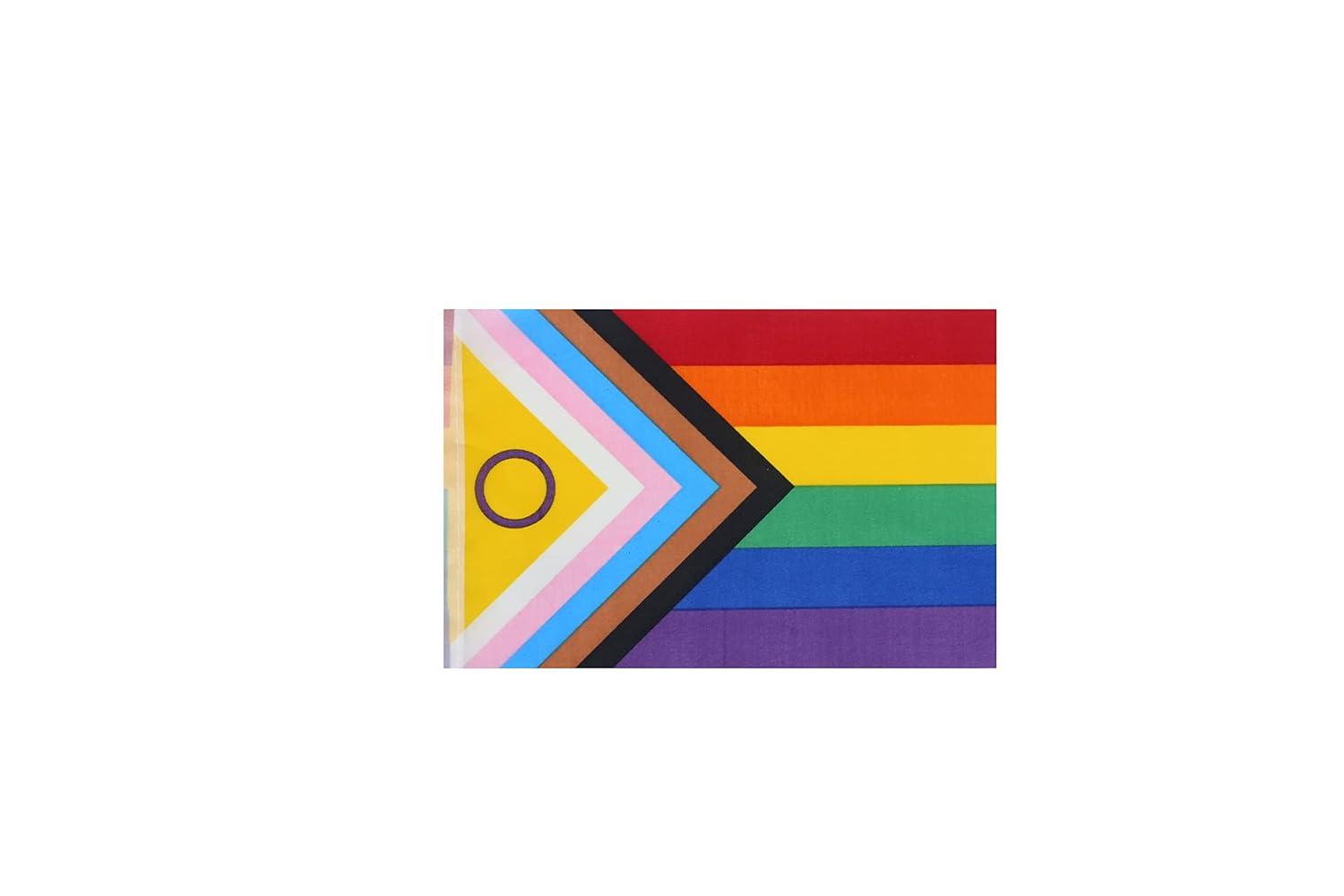 Rainbow Pride Flag,100Feet/76Pcs Rainbow Festival Decoration Pennant Flags Banner,Party Decorations Supplies for Decoration,Rainbow Holiday Decoration.
