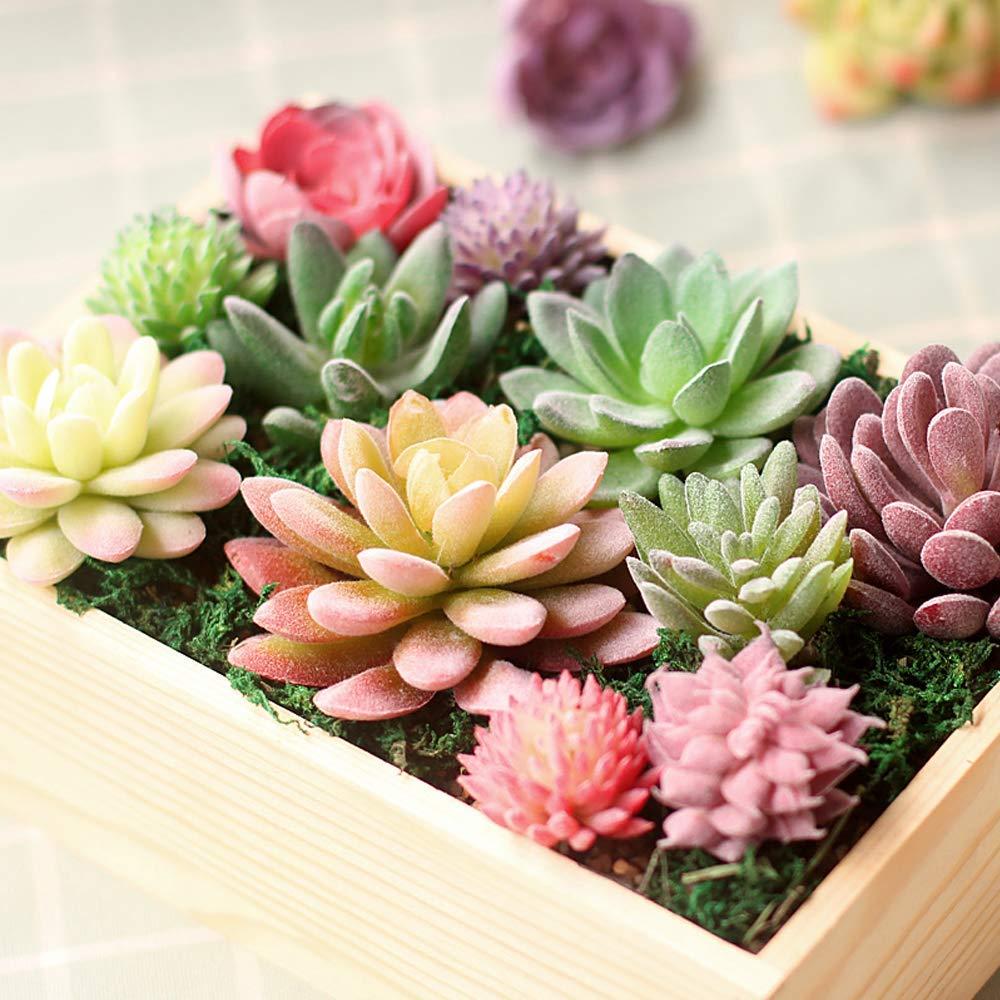 16 Pack Artificial Succulents Plants - Small Fake Plants for Miniature Gardens - Quality PVC Plastic - Faux Succulent Decor - Unique and Varied Designs - Ideal for Beautiful Gardens|The 16 pack of Art