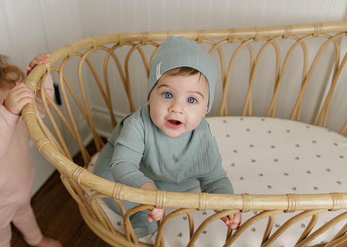 Ely's & Co. Baby Fitted Bassinet Sheet 100% Combed Jersey Cotton 2 Packs Gender Neutral