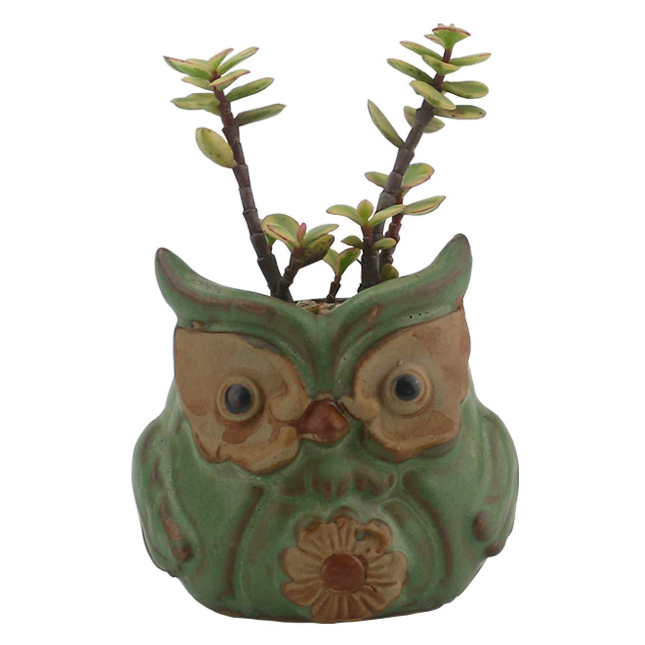 Ogrmar 6Pack Owl Plant Window Boxes Cute Owl Flower Pot/Modern Ceramic Succulent Planter Pots/Tiny Flower Plant Containers Animal Decor