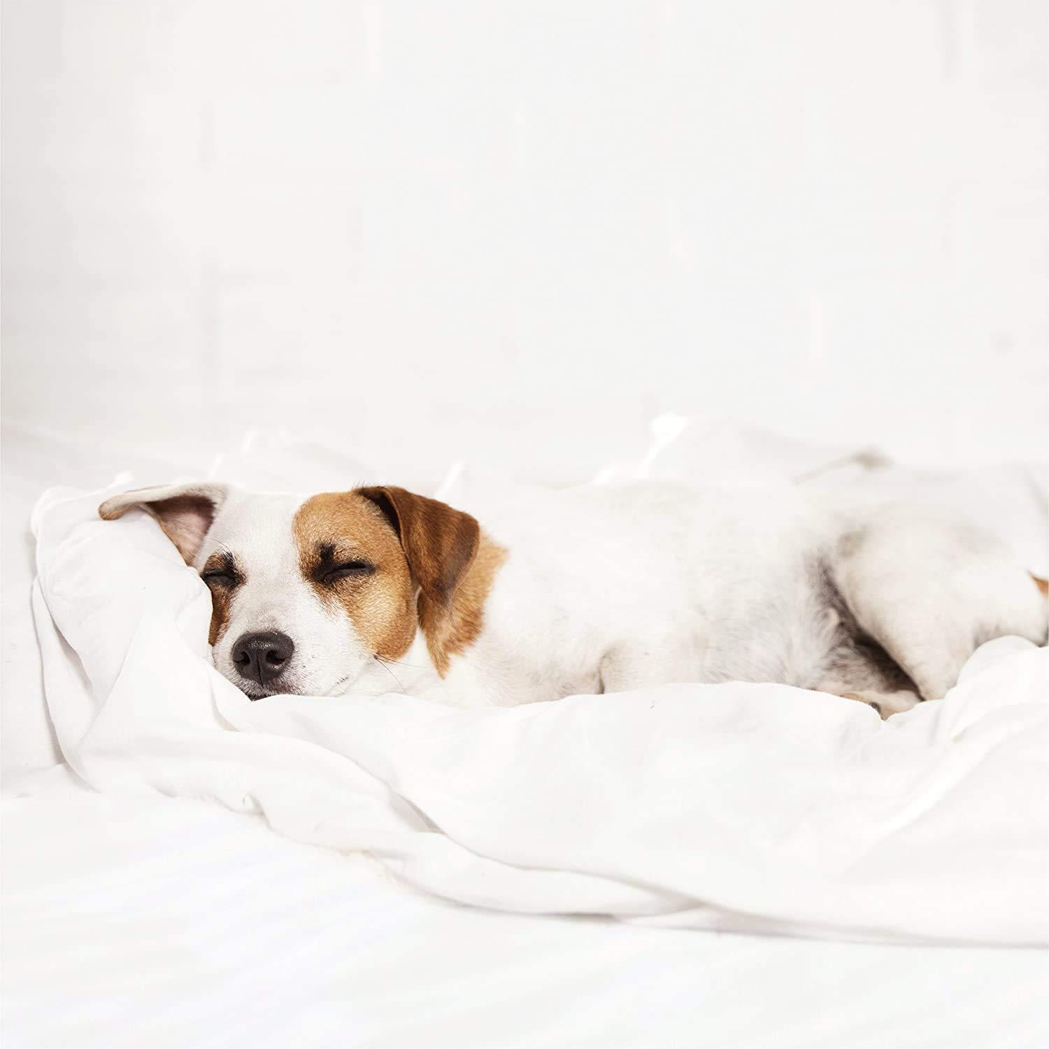 Becky Cameron Reversible Down-Alternative Comforter Bedding Set