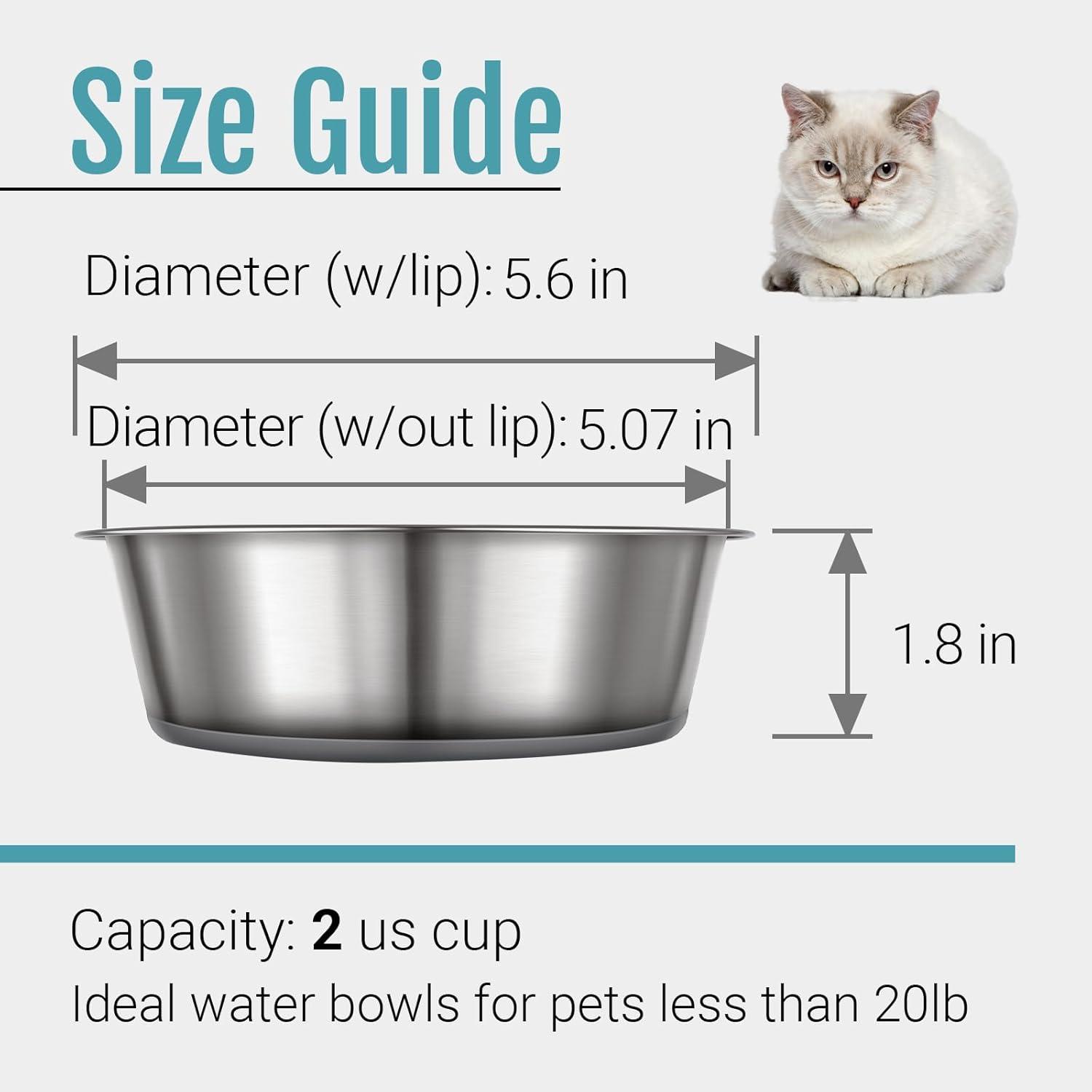 Stainless Steel Nonslip Cat Bowls with Rubber Bottom, 2-Pack