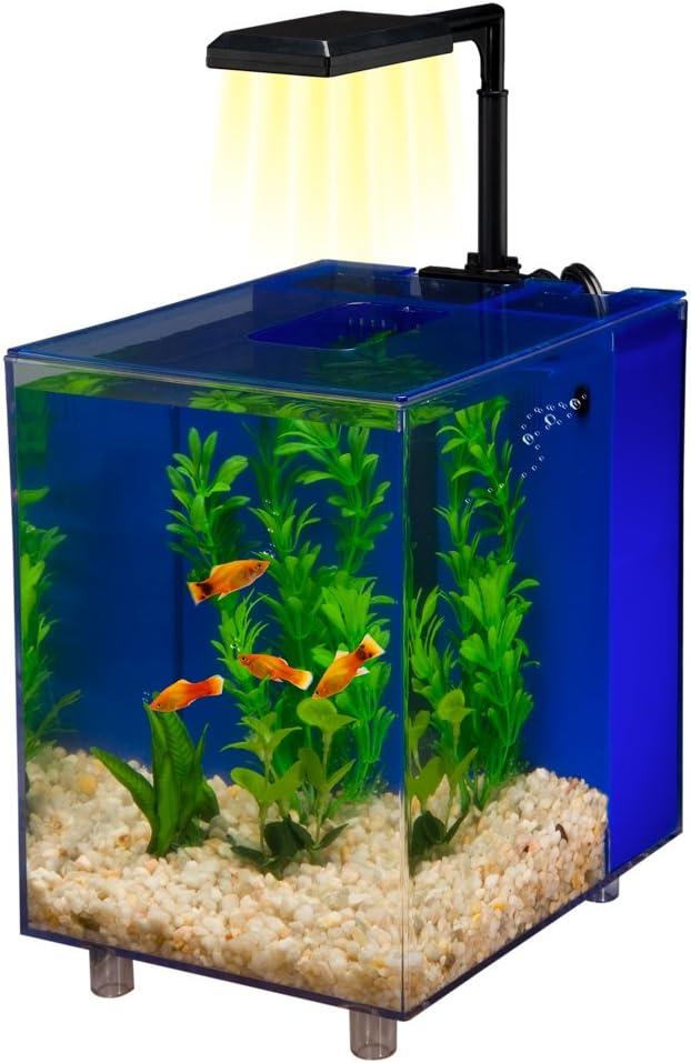 Margo 2 Gallon Desktop Aquarium Tank