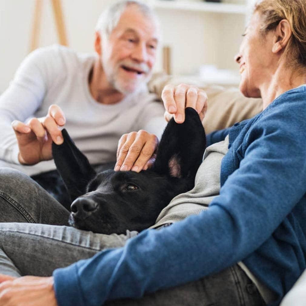 FDW 4 Wheels Pet Stroller Cat Dog Stroller Portable Folding Travel Carrier Strolling Cart Waterproof with Storage Basket,Mesh Windows, Yellow Plaid