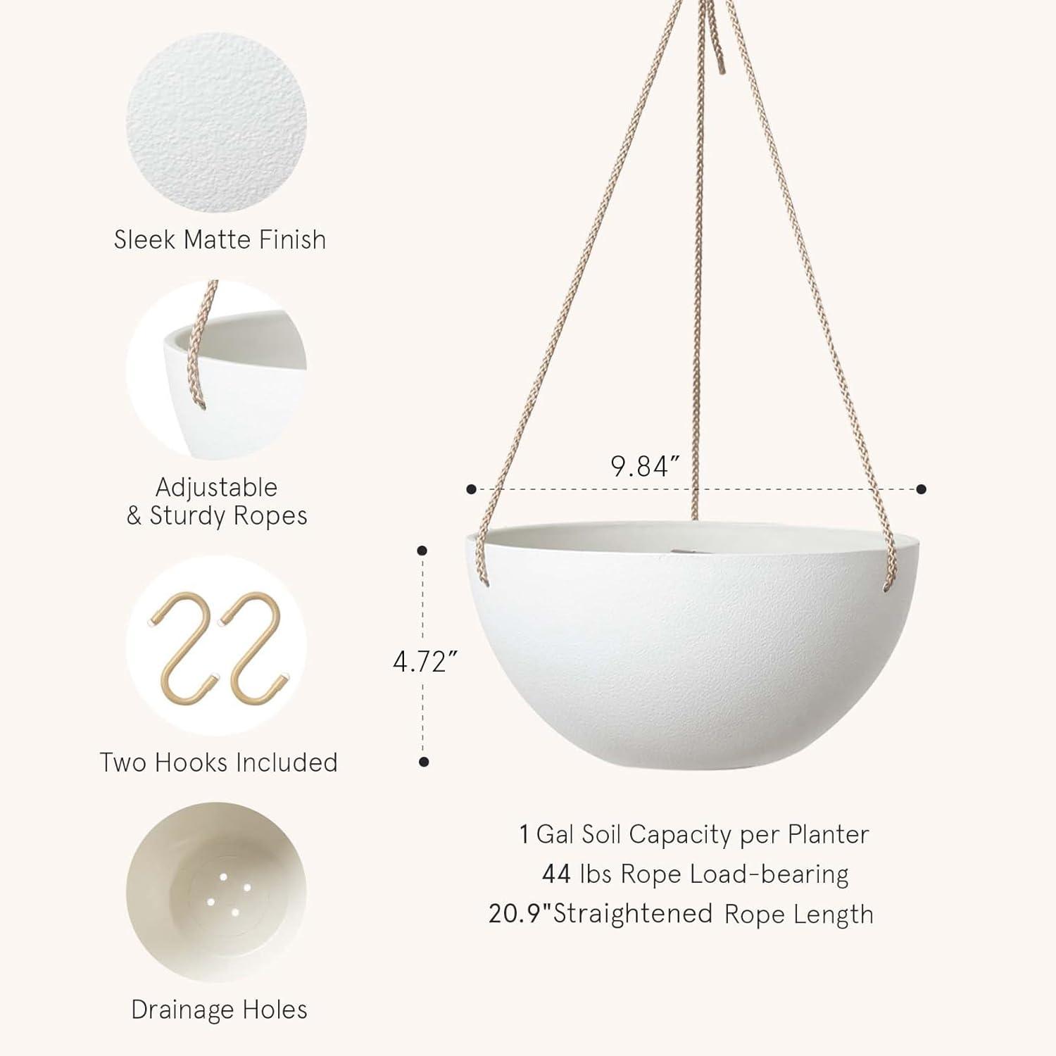 Boxdale Hanging Planter - Set of 2 (Set of 2)