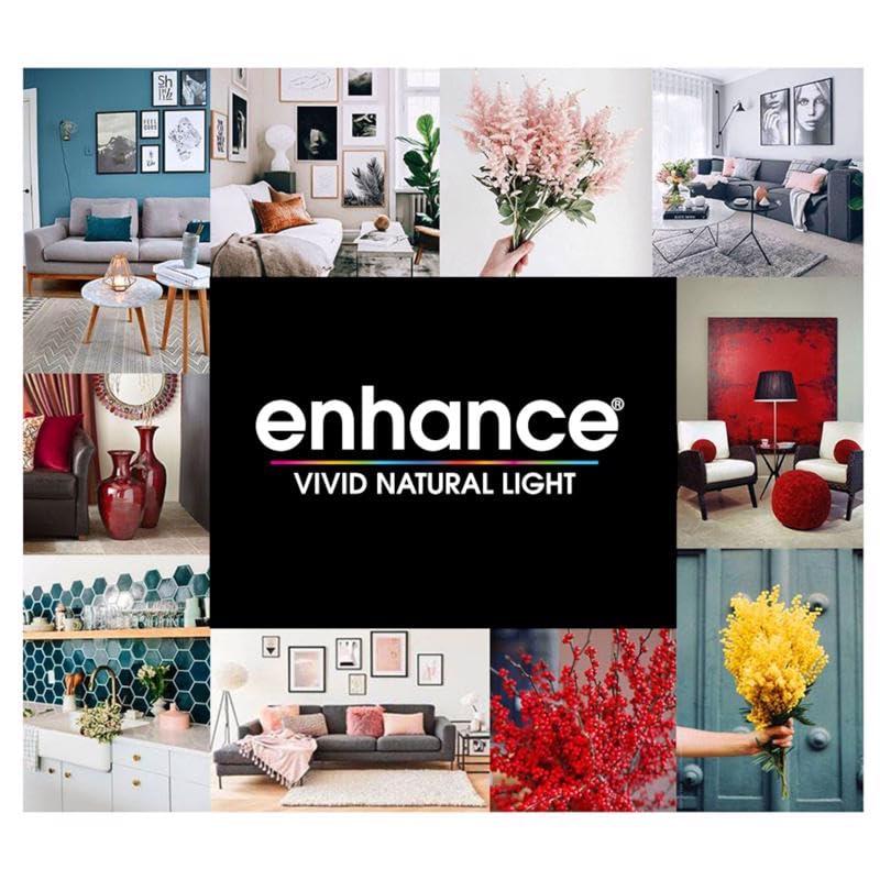 Feit Electric A19 E26 (Medium) Filament LED Bulb Daylight 100 Watt Equivalence 2 pk