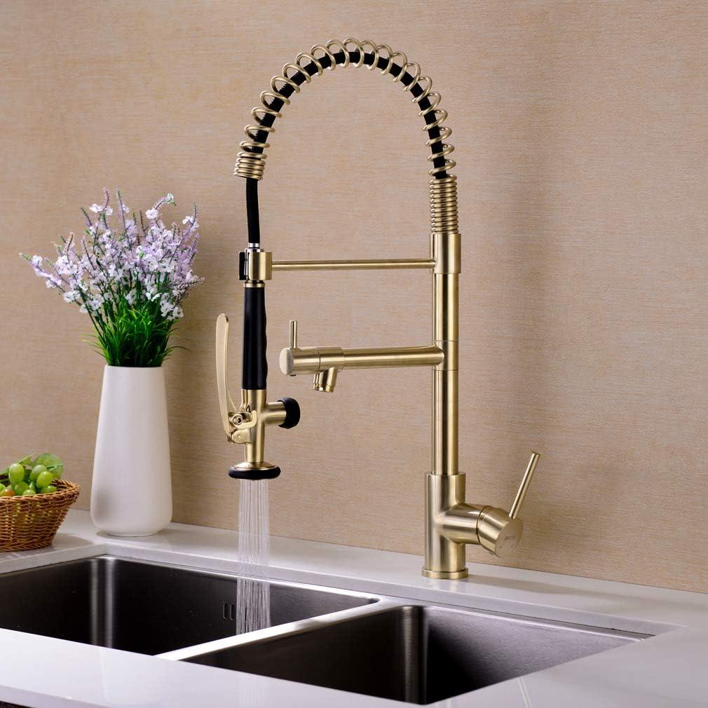 LOONGFIELD ASTARQ-W1932P172291 Kitchen Faucet Pull Down Sprayer Brushed Nickel,Single Handle Kitchen Sink Faucet