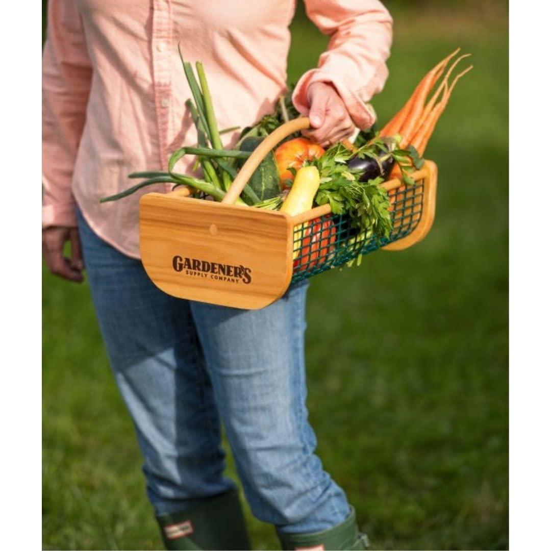 Gardeners Supply Company Garden Hod Harvest Basket | Versatile Gardening Fruits & Vegetables Gathering Basket | Natural Smooth Pine - Maple Frame &