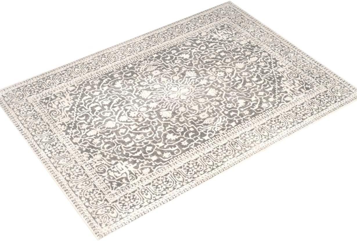 SAFAVIEH Reflection Dolkar Traditional Area Rug, Beige/Cream, 10' x 14'