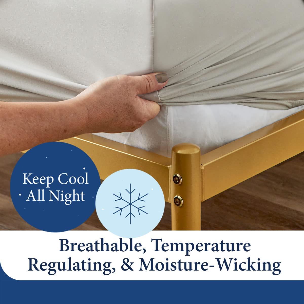 Cosy House Collection Luxury Rayon Derived from Bamboo Bed Sheet Set - Sage Green, Twin XL