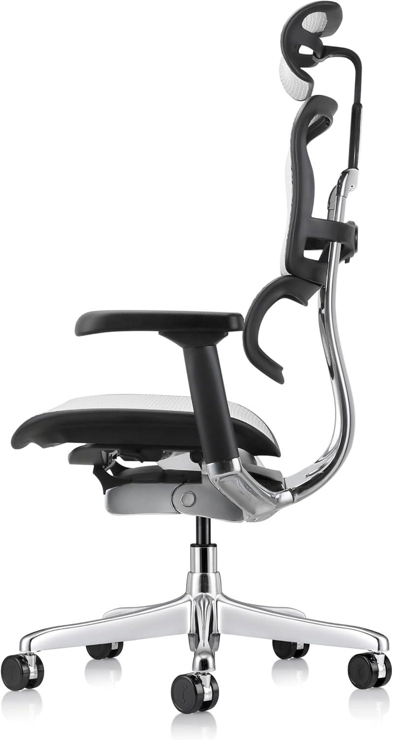 Eurotech Seating Ergohuman Executive Chair with Headrest