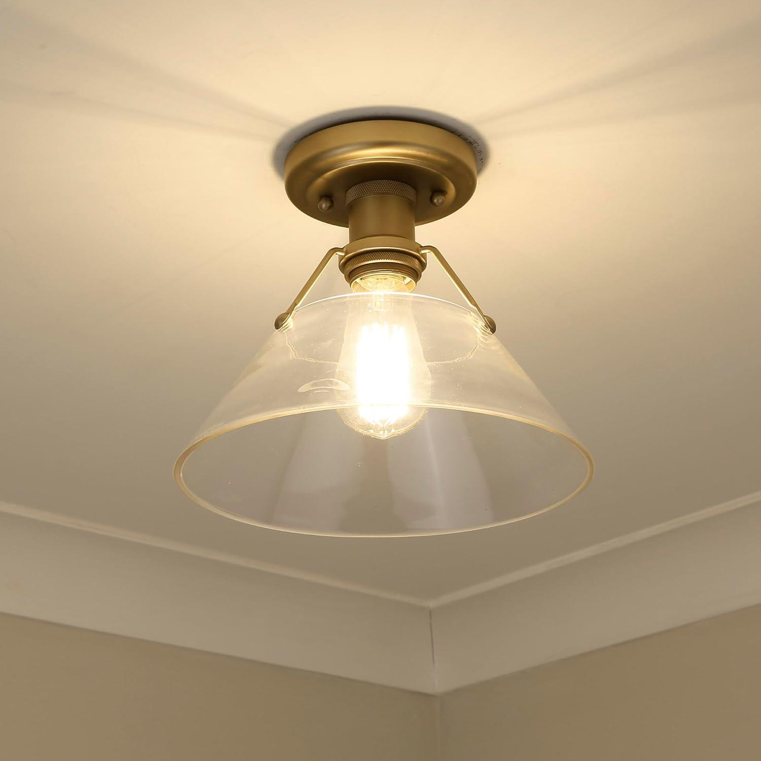 Golden Lighting Orwell 1-Light Flush Mount in Brushed Champagne Bronze with Clear Glass