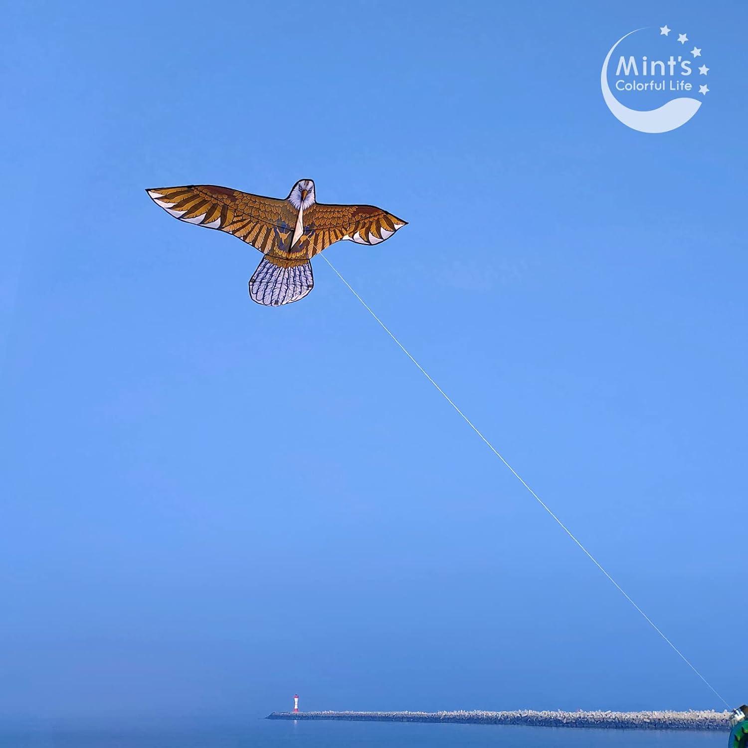 Mint s Colorful Life Eagle Kite for Kids Adults with 60 Wingspan