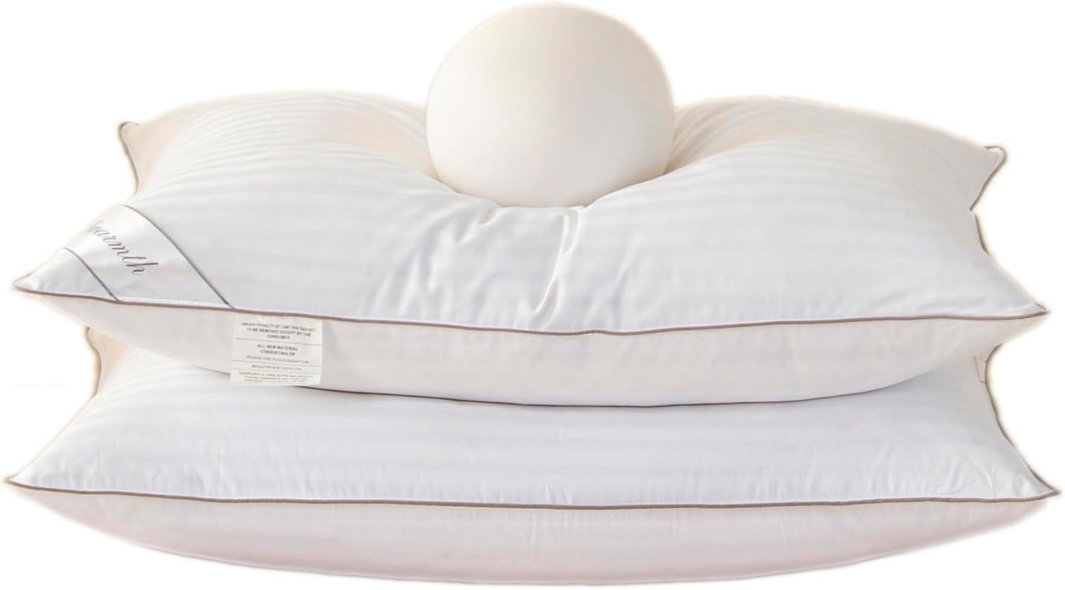 Natural Goose Down&Feather Pair Pillows Insert, Set of 2 Bedding Soft Pillows 100% Soft Cotton Queen 20x30in
