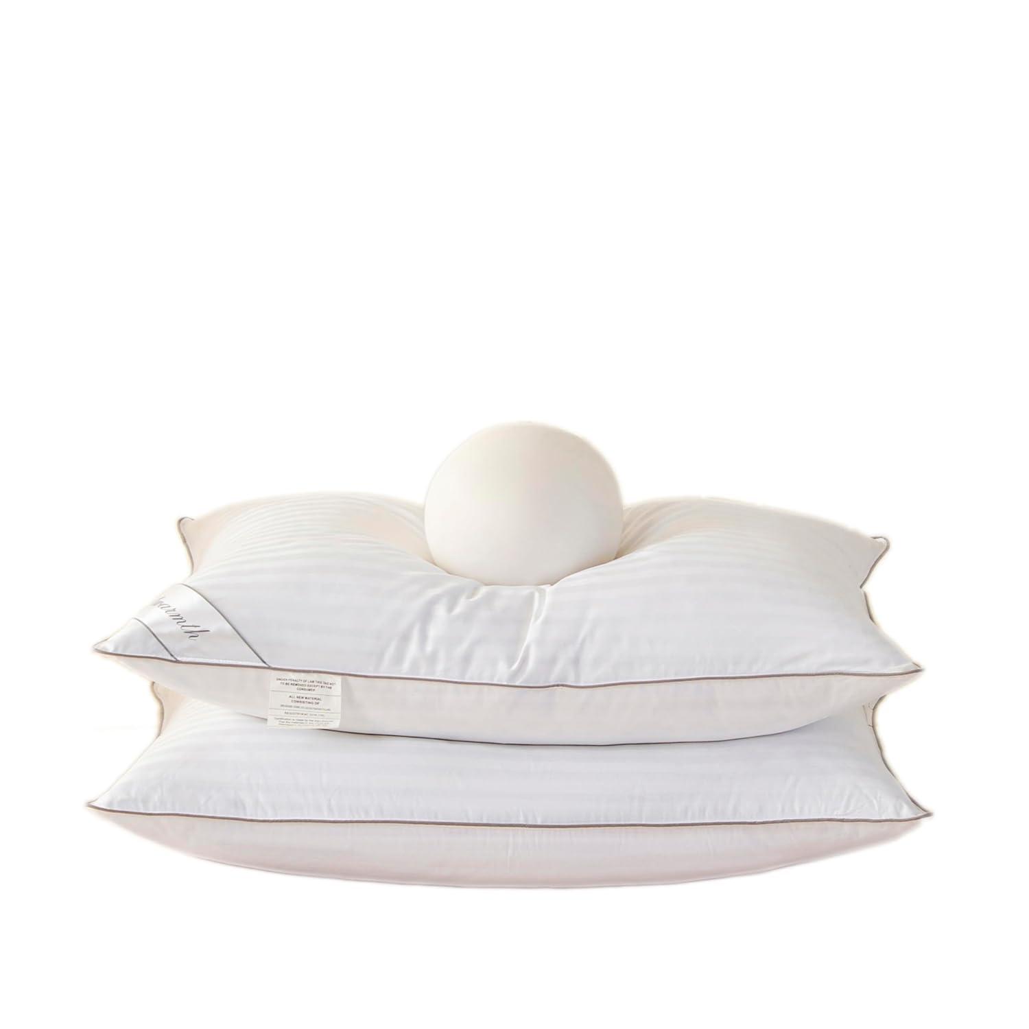 Natural Goose Down&Feather Pair Pillows Insert, Set of 2 Bedding Soft Pillows 100% Soft Cotton Queen 20x30in