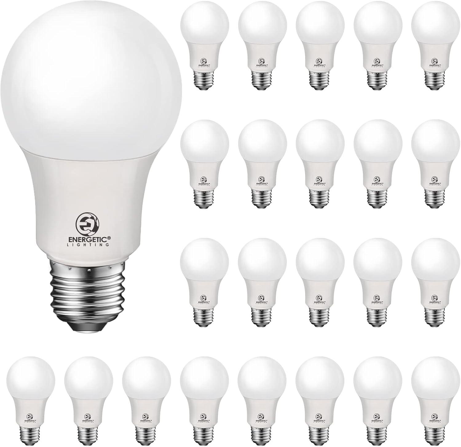 60 Watt Equivalent A19 E26/Medium (Standard) LED Bulb