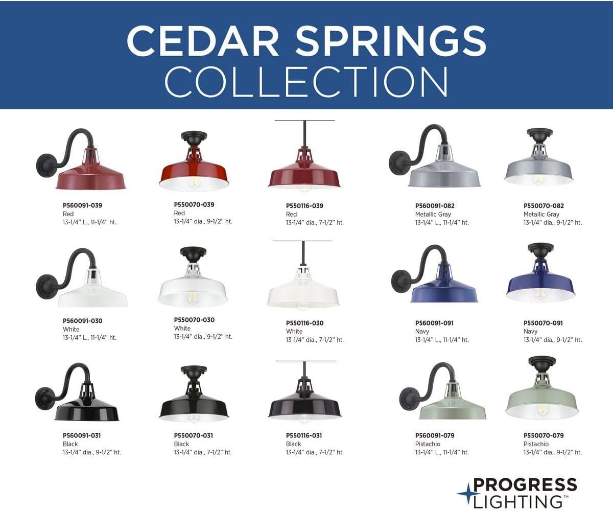 Progress Lighting Cedar Springs 1-Light Outdoor Wall Lantern in Metallic Gray, White Shade