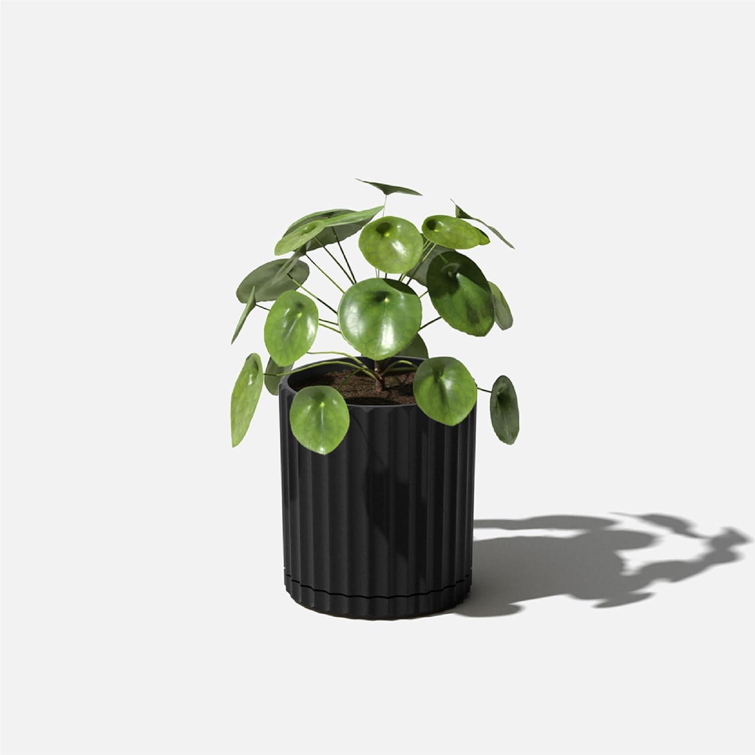 Veradek Mason Series Demi 6" Plastic-Stone Planter - Black