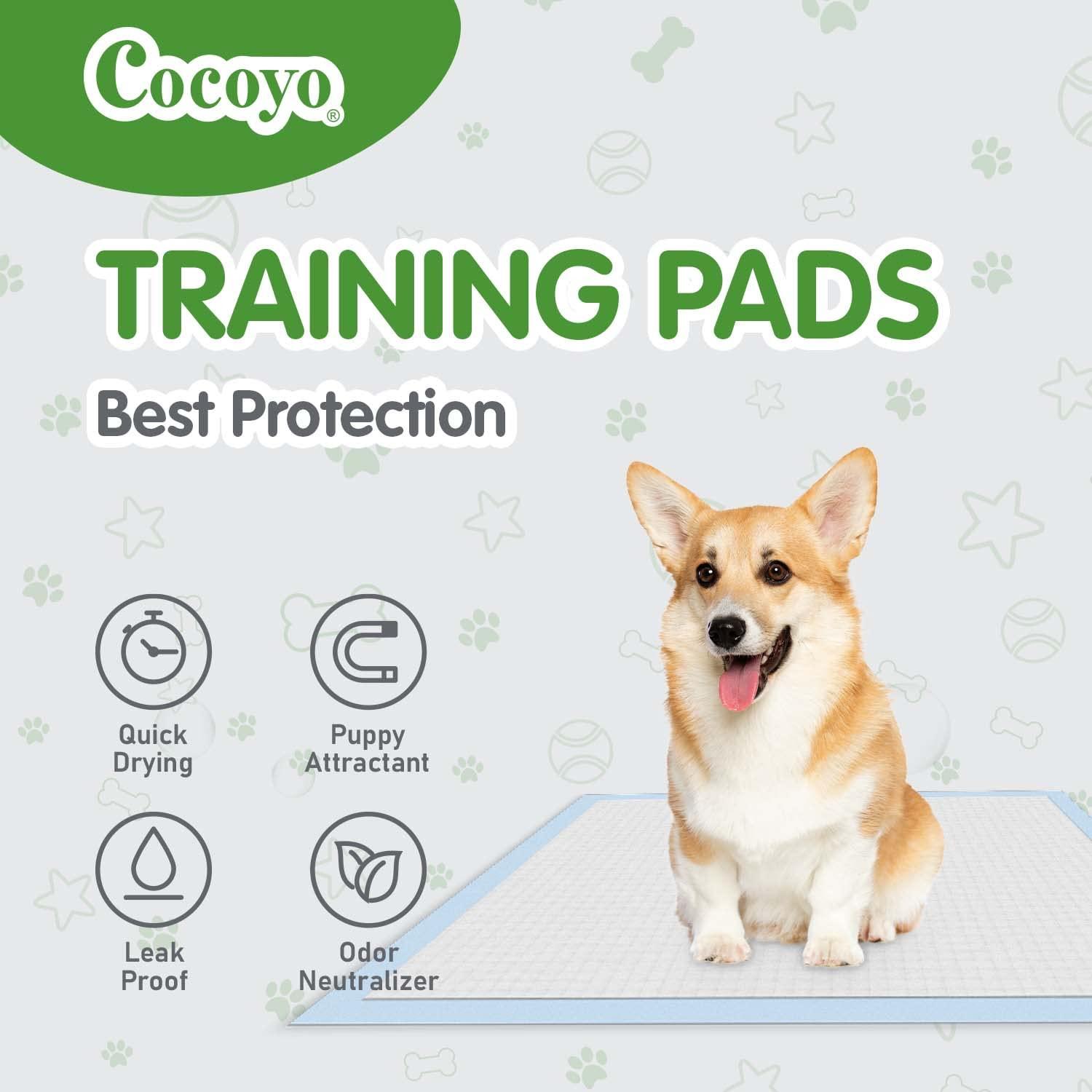 COCOYO Best Value Training Pads 100 Count 13“ by 17.7”| Dog Pee Pads | Super Absorbent Puppy Pads,Blue