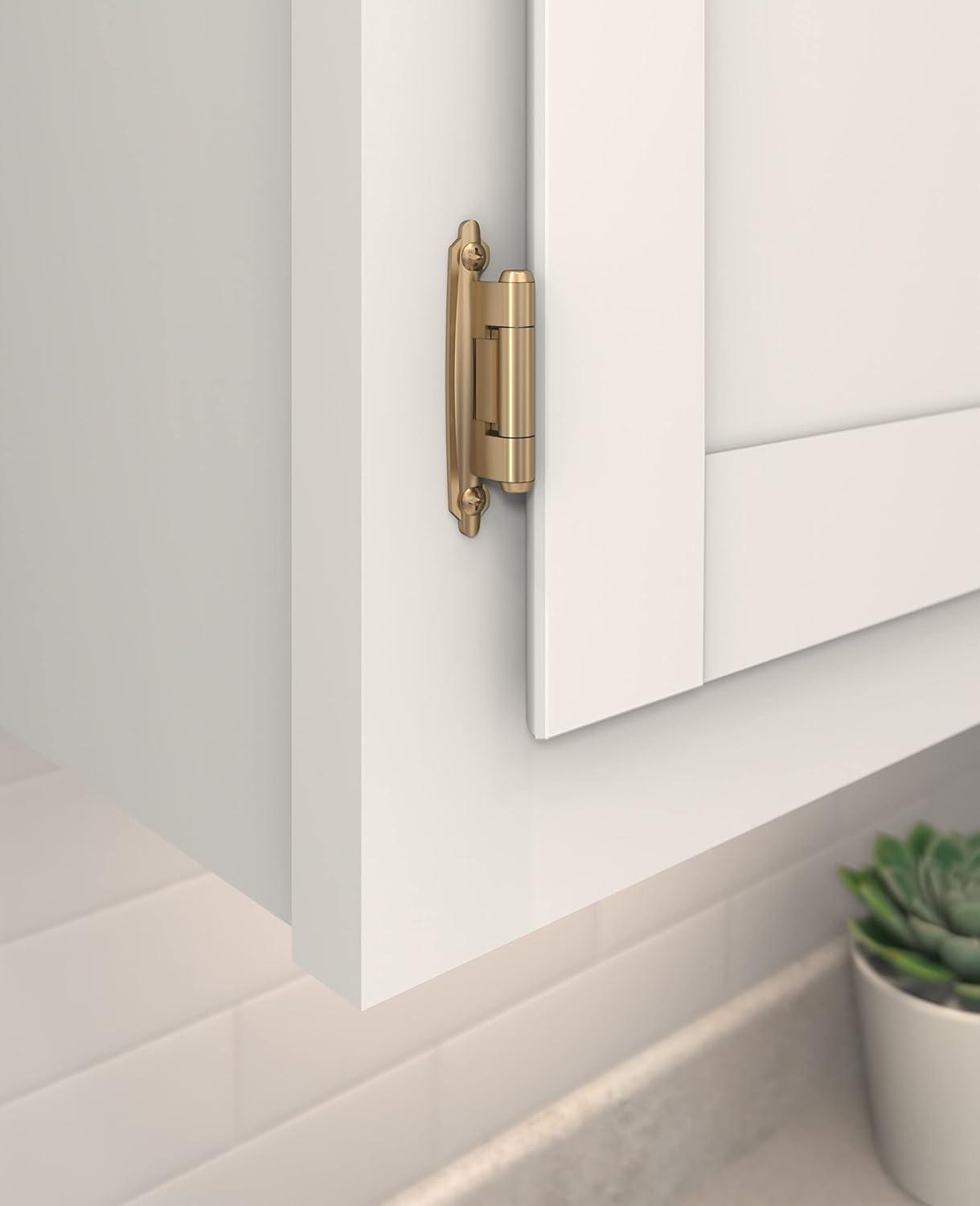 30° Reverse Bevel Overlay Hinge