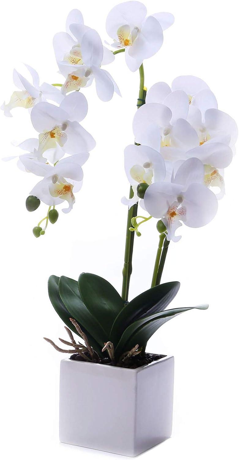 White Silk Orchid Bonsai in Ceramic Pot