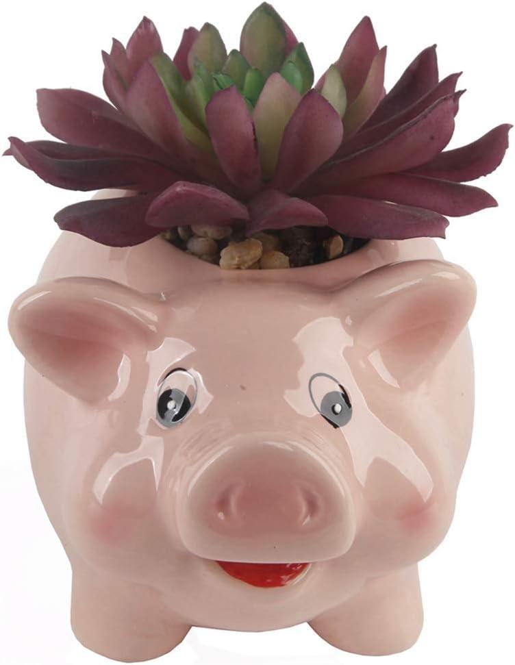 Flora Bunda Set of 2 Artificial Succulents in Pink Ceramic Pig Planters