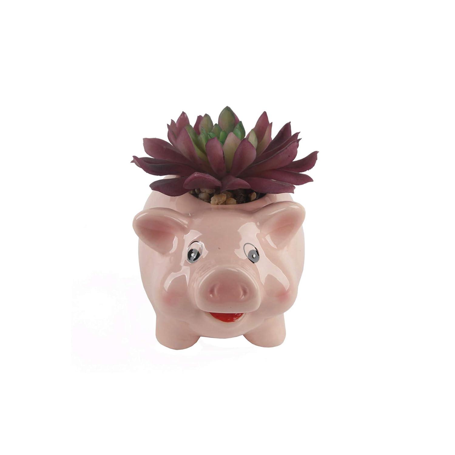Flora Bunda Set of 2 Artificial Succulents in Pink Ceramic Pig Planters