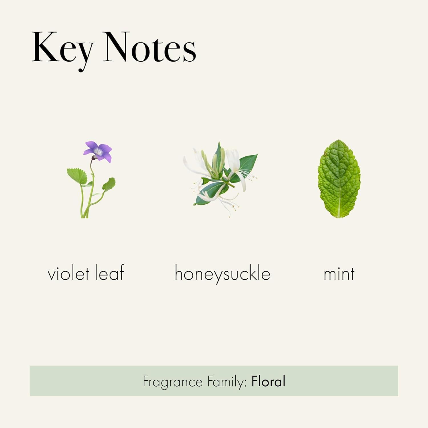 LAFCO New York House & Home Reed Diffusers And Sticks