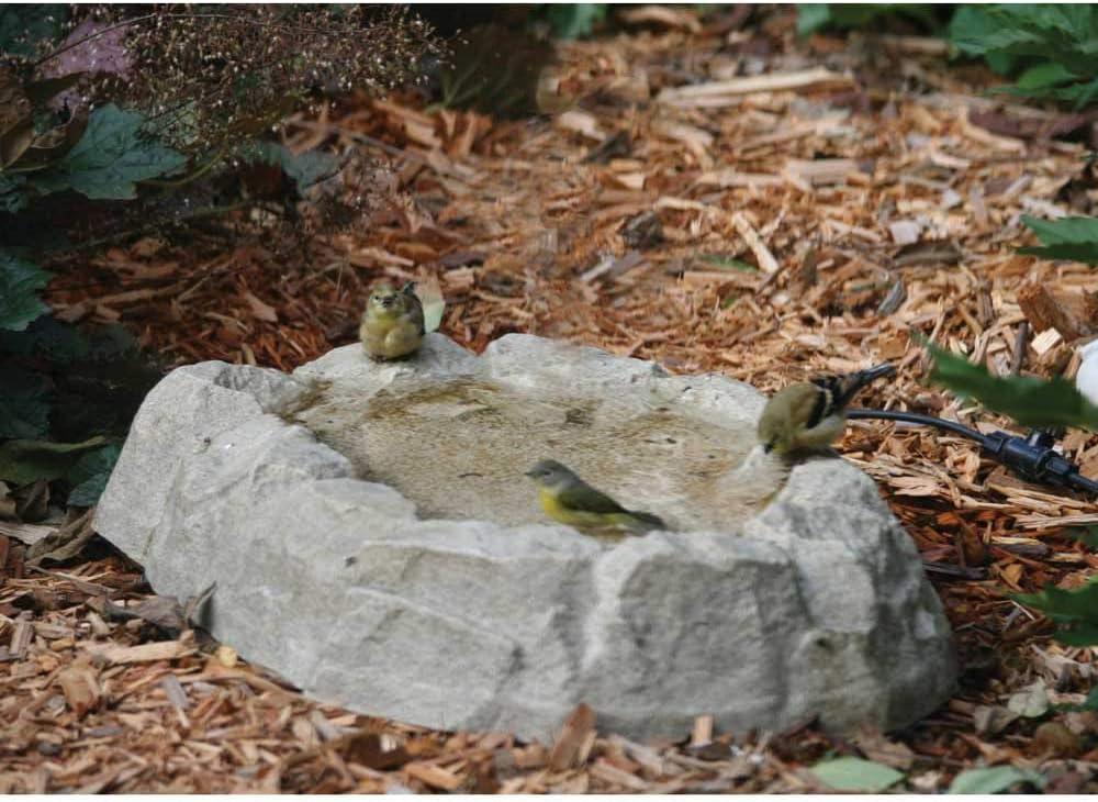 Rocky Mountain Gray Resin Ground Bird Bath