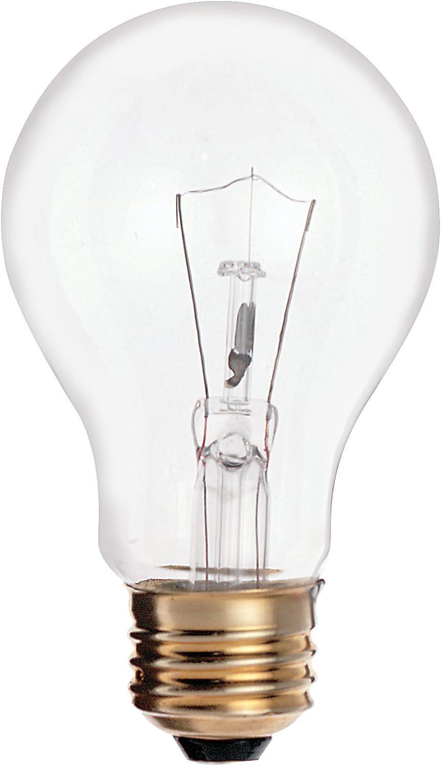 Clear 25W A19 Incandescent Light Bulb, 2-Pack