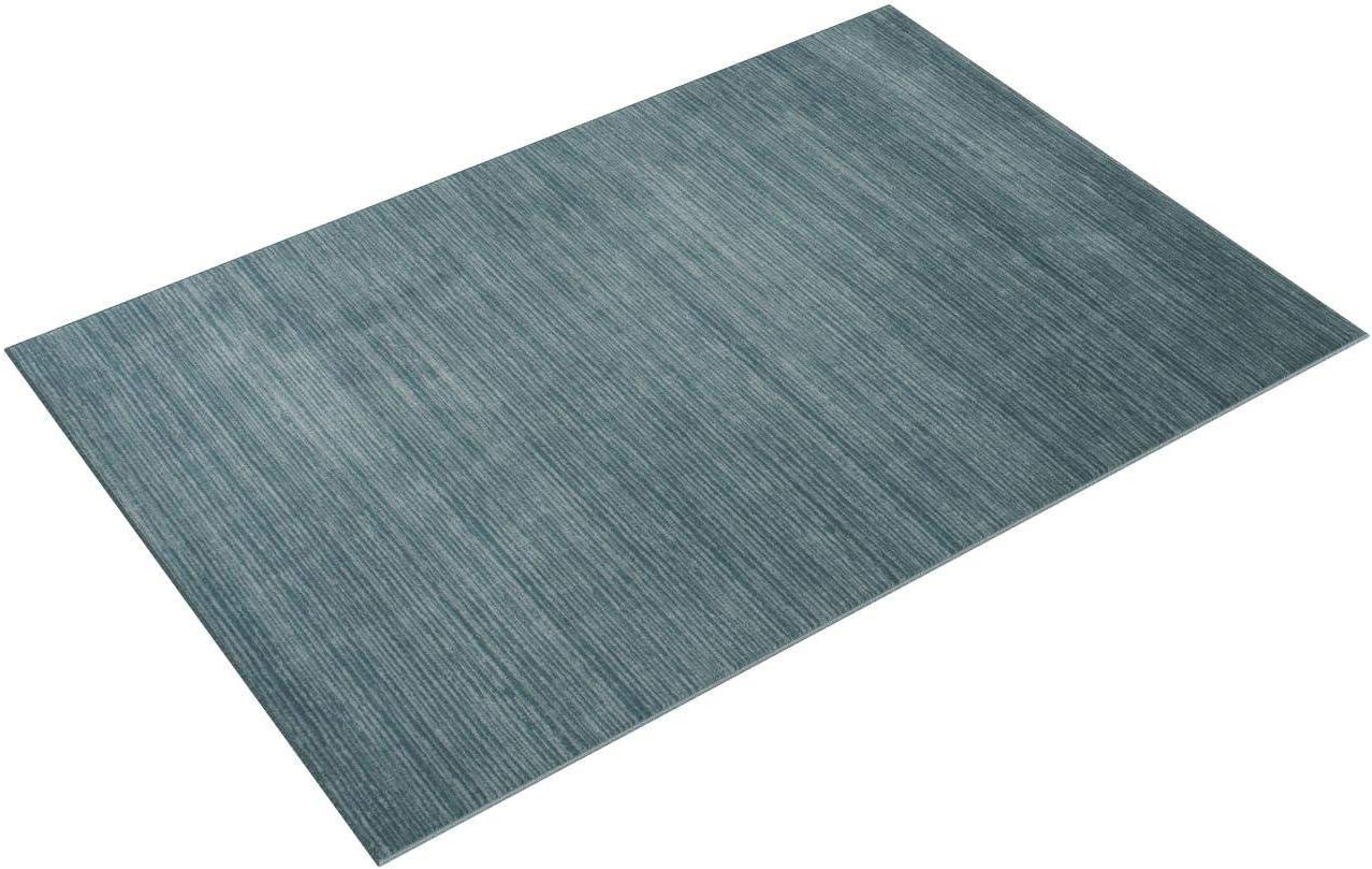 Vision VSN606 Power Loomed Indoor Area Rug  - Safavieh