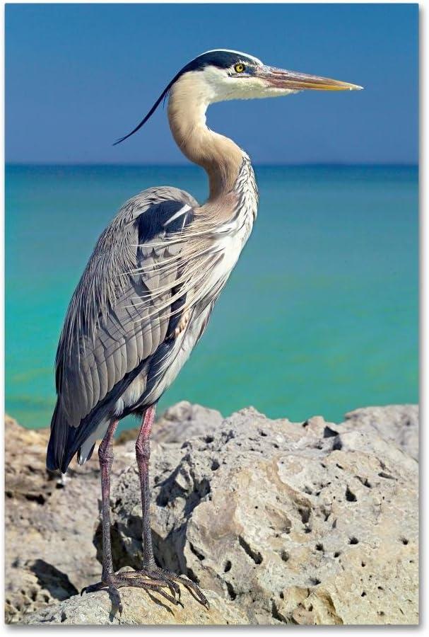 Trademark Fine Art -Mike Jones Photo 'Blue Heron' Canvas Art