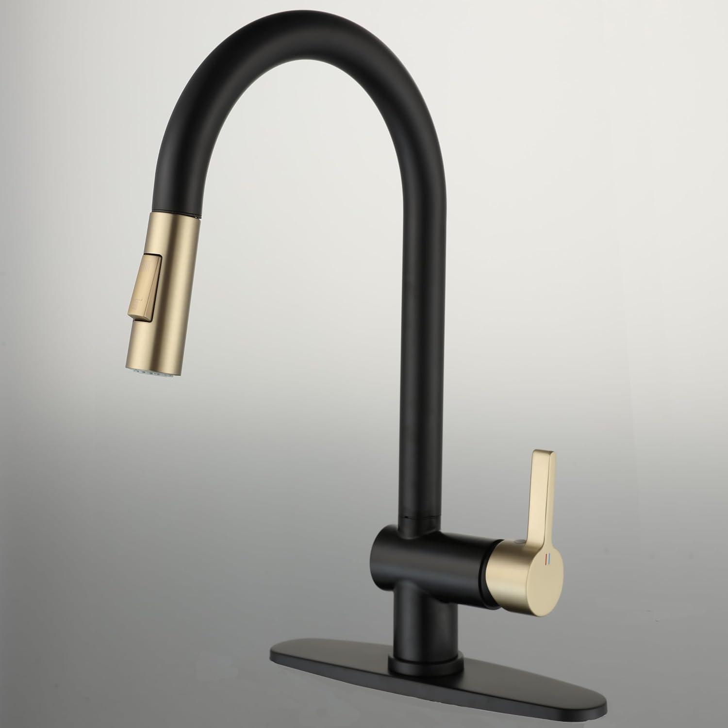 VIBRANTBATH Pull Out Kitchen Faucet