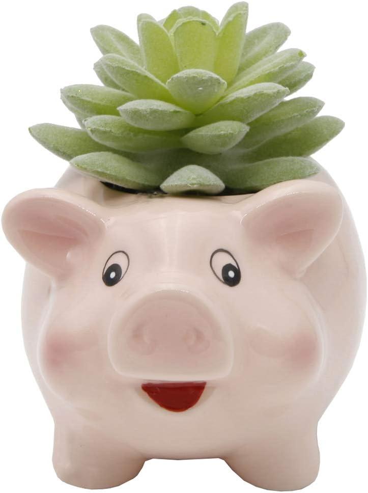 Flora Bunda Set of 2 Artificial Succulents in Pink Ceramic Pig Planters