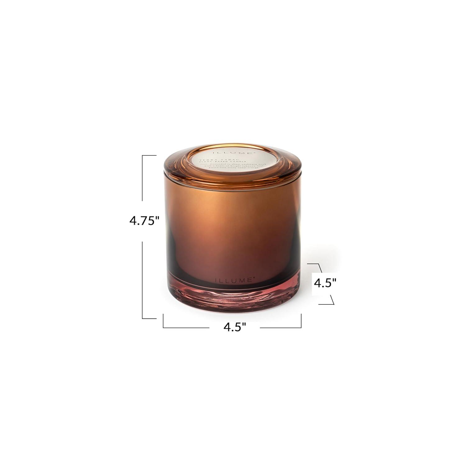 ILLUME Beautifully Done Essentials Terra Tabac Statement Glass Scented Candle