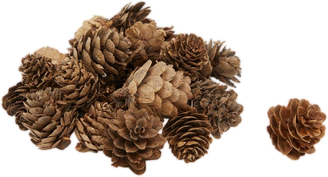 Bright Creations 75 Pieces Craft Foam DIY Wreath Forms, Pinecones, Berries, Leaves, Burlap Ribbon, 8 In