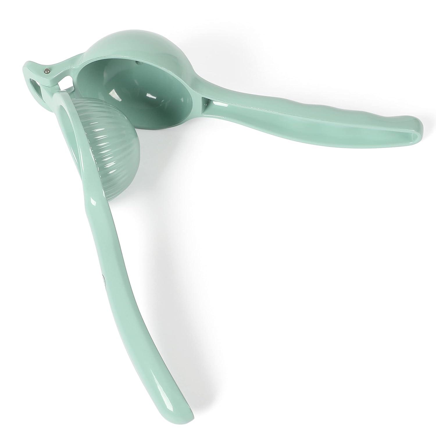 Martha Stewart Citrus Squeezer & Reviews | Wayfair